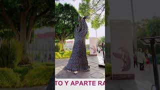 🔴Exposición Monumental de Leonora Carrington en Irapuato [upl. by Enined920]