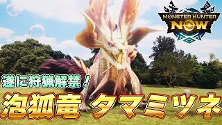 モンハンNow大型夏アプデ！泡狐竜 タマミツネ 新装備がマジで強いぞ！！『モンスターハンターNow』 [upl. by Etteragram]