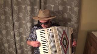 Best Accordion Music [upl. by Siegel823]