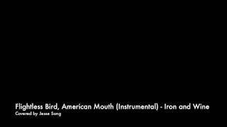 Flightless Bird American Mouth by Iron amp Wine Instrumental cover  Jesse Song [upl. by Aramoy145]