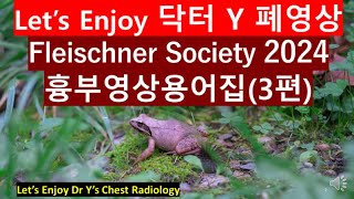 fleischner society glossary thoracic imaging 2024흉부영상용어집3편 2024흉부사진폐암사진흉부영상폐암진단닥터와이폐영상胸部X線 [upl. by Aibonez]