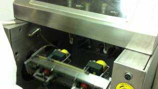 Lemon peeling machine [upl. by Greenland]