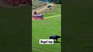 Nagni top butifull views viral video punjabimusic travel drivermunda punjabisong viralsong [upl. by Ariamat638]