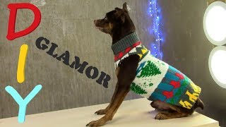 Гламурная Одежа Для Собак Своими руками за 5 мин 🐶 DIY [upl. by Rihat]