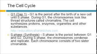 The Cell Cycle  G1 S Phase G2 M Phase  Cell Division [upl. by Hi488]