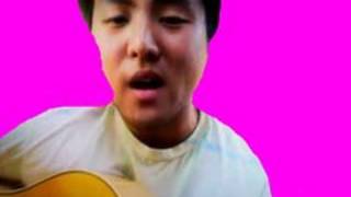 Britney Spears  Womanizer  David Choi Cover [upl. by Aurelea]