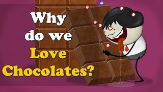 Why do we Love Chocolates  more videos  aumsum kids science education children [upl. by Nightingale]