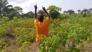 Farmland Market gardening involves the intense production of highvalue crops [upl. by Gelhar]