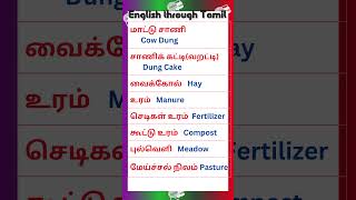 92 Vocabulary for Spoken English in Tamil vocabularyintamil spokenenglishintamil [upl. by Menendez]