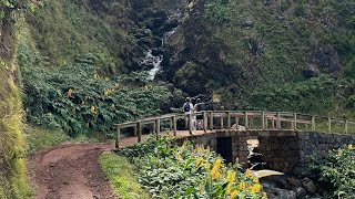 Sao Jorge Azores  Faja do Santo Cristo Trail  Hiking Through The Lush Green Landscape  4K [upl. by Akima626]