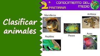 Cono 2º Primaria Tema 4 Clasificación de animales [upl. by Hsetirp]