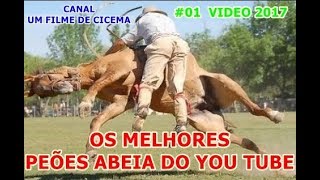 OS PEÃO MAIS ABEIA DO BRASIL 🐝 VIDEO 2017 HD 06 [upl. by Jay]