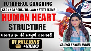 HUMAN HEART STRUCTURE  CLASS  BIOLOGY BY KAJAL MAAM humanheart bestscienceteacher [upl. by Mohsen376]