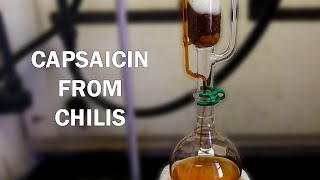 How to extract capsaicinoids from chili peppers [upl. by Arded]