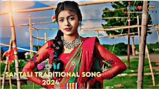 Tihing Napam Napam Santali song 🌾🍁 Santali song 2024🥰🥰 SANTALI TRADITIONAL SONG🌟🌟 ST SANTALI MUSIC [upl. by Cletus577]