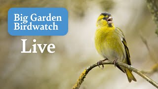 Big Garden Birdwatch Live 2023  Saturday [upl. by Paola31]