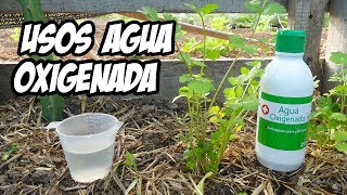 7 Usos Brillantes del AGUA OXIGENADA en el Huerto o Jardín  La Huerta de Ivan [upl. by Yras867]