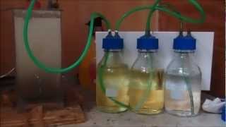 Sodium hypochlorite synthesis through electrolysis [upl. by Demmahom]