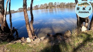 Bait fishing at Laanecoorie Reservoir Loddon River [upl. by Lledra]