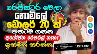 online job sinhala  online job at home sinhala  E money sinhala  online salli hoyana karama [upl. by Jarlen715]