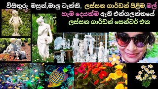 Sinhala VlogGarden centre in UKHome Garden SinhalaTravel Sinhalapet shop sinhalabeautiful [upl. by Blainey]