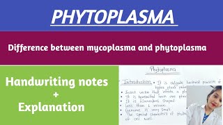 Phytoplasma characters symptoms lifecycle amp control ✅  Phytoplasma notes [upl. by Niddala]