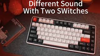 Minilo 75 Retro  Tactile VS Linear Switch Typing sound [upl. by Natsirk]