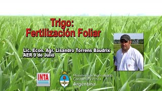 Trigo Fertilización foliar con Urea y UAN líquido [upl. by Corilla910]