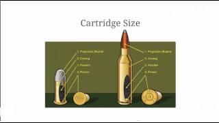 Bullet Comparison  Calibers and Bullet Measurements Explained [upl. by Ahsercel713]