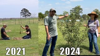 3 Years LATER A FULL Orchard Tour [upl. by Yrrol]