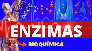 Bioquímica Enzimas Cinética enzimática e inibição enzimática [upl. by Mihcaoj702]