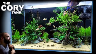 The Cory Tank EPIC 3ft Aquascape Tutorial [upl. by Akcimehs]