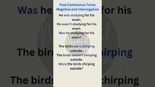 Past Continuous Tense Negative and Interrogative shorts tenses [upl. by Ariait]