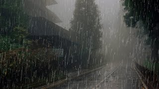 Sonido de Lluvia y Truenos para Dormir Profundamente  Lluvia Relajante en Bosque Brumoso [upl. by Ennaitsirhc]