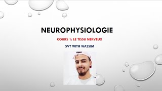 Neurophysiologie cours 1 le tissu nerveux [upl. by Ehrman]