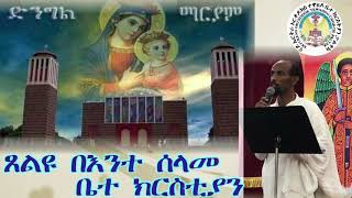 Eritrean Orthodox Tewahdo Church  Paltalk [upl. by Geerts523]