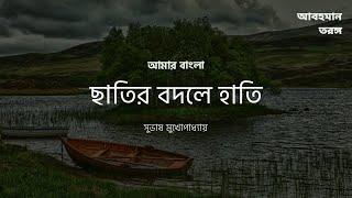 Chatir Bodole Hati  ছাতির বদলে হাতি‍।। আমার বাংলা।। সুভাষ মুখোপাধ্যায় [upl. by Arriaes]