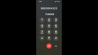 My ACCESS  Florida Department of Children and Families Phone Number  How To Reach A Live Person [upl. by Arvonio244]