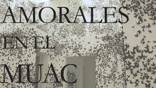 Carlos Amorales en el MUAC [upl. by Anirrak180]