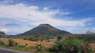 Liputan Khusus Penebangan Kayu di Sipisopiso Kades Sebut Kebutuhan Wakaf Desa [upl. by Naellij687]