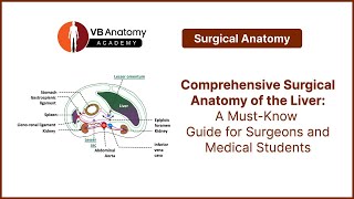 Comprehensive Surgical Anatomy of the Liver A MustKnow Guide for Surgeons and Medical Students [upl. by O'Neil]