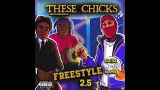 Brock x Destin x GE3Z  “These Chicks Freestyle Pt25”  Prod Svntana Archive [upl. by Keppel527]