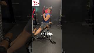 Master the Ab Crunch on Hyperextension Bench Strengthen Abs and Hip Flexors [upl. by Eizzil]