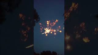 500g Firework Finale Cake Salute DIY Reupload fireworks july4th experiment [upl. by Rizan]