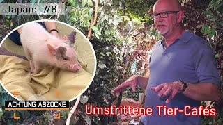 Abzocke und alles andere als TIERFREUNDLICH 😥 Japanische TierCafés  Achtung Abzocke [upl. by Ama]