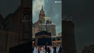 Deen islam men koi zabardasti nahi hai quranlovers youtubeshorts qarimuhammadilyas [upl. by Naek430]