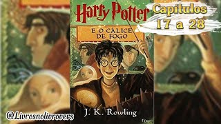 Harry Potter e o Cálice de Fogo  audiobook 23 [upl. by Crooks]