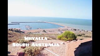 Places to visit in Whyalla  South Australia  Travel to Whyalla Outback Australia [upl. by Odrahcir]