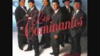 los caminantes dame otra oportunidad0001wmv [upl. by Aizirtap]