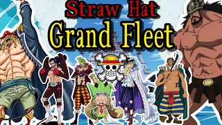 Straw Hat Grand Fleet ကြီးအကြောင်းရှင်းပြချက် [upl. by Beare588]